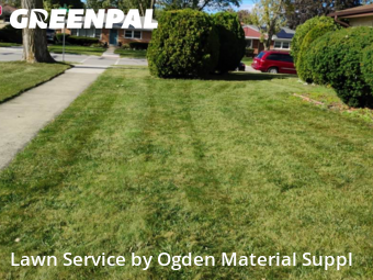 Lawn Care Service nearby Des Plaines, IL, 