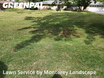 Grass Cutting nearby Indianapolis, IN, 