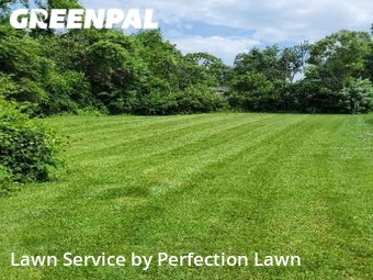 Lawn Cut nearby Independence, MO, 