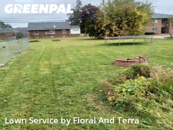 Work completed by professional-lawn-care-service-in-Roseville-CA