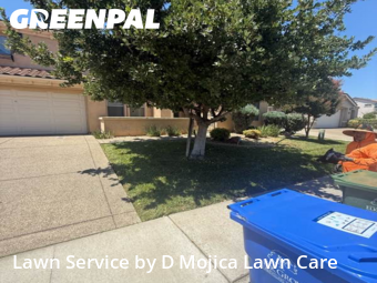 Work completed by local-lawn-care-services-in-Elk Grove-CA