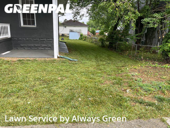 Grass Cut nearby Baltimore, MD, 