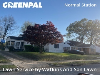 Lawn Cutting nearby Memphis, TN, 