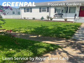 Lawn Mow nearby Norfolk, VA, 