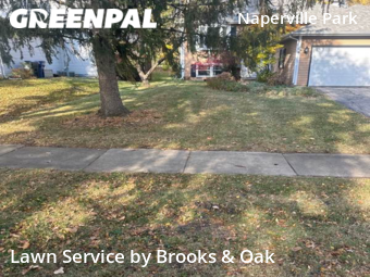 Lawn Cut nearby Naperville, IL, 