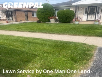 Lawn Cutting nearby Calumet City, IL, 