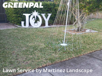 Lawn Work in Tavares, 32778, Yard Grooming by Martinez Landscape, work completed in Nov , 2025