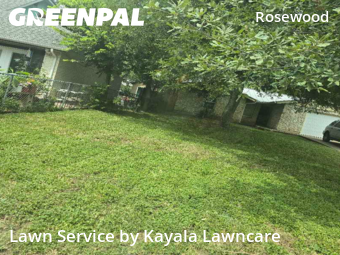 Grass Cut nearby Austin, TX, 