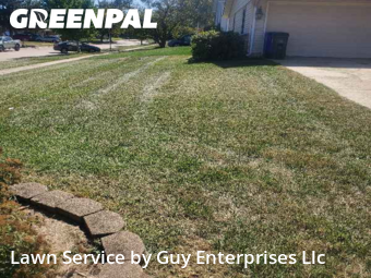 Lawn Cut nearby Cedar Rapids, IA, 