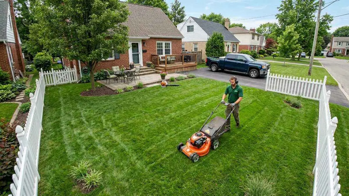 What's the cheapest way to get my lawn mowed professionally? By Greenpal