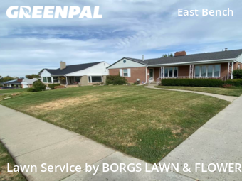 Grass Cutting nearby Salt Lake City, UT, 