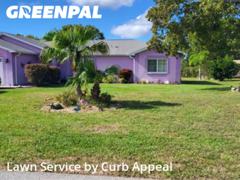 Turf Services in Spring Hill, 34609, Grass Services by Curb Appeal , work completed in Nov , 2025
