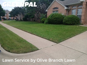 Lawn Cutin Haltom City,76137,Yard Cutting by Olive Branch Lawn, work completed in Jun , 2026