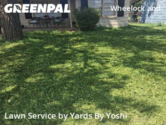 Lawn Service nearby Lubbock, TX, 
