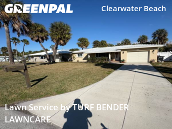 Lawn Servicein Clearwater,33767,Lawn Care Service by TURF BENDER LAWNCARE, work completed in Mar , 2026