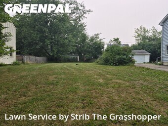 Lawn Mow nearby Shaker Heights, OH, 
