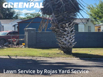 Lawn Care nearby Harlingen, TX, 