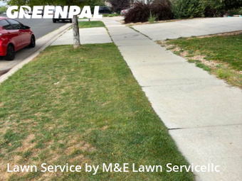 Lawn Care nearby Aurora, CO, 