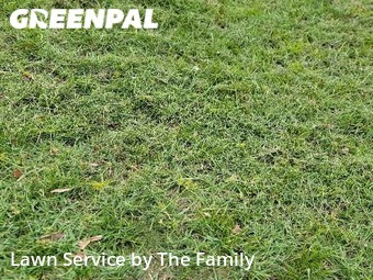 Lawn Maintenance nearby Orlando, FL, 