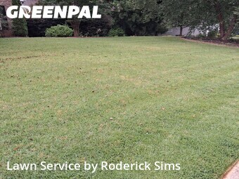 Lawn Mow nearby Hoschton, GA, 