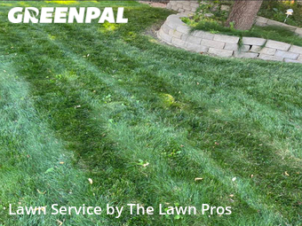 Lawn Service nearby Longmont, CO, 