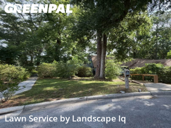 Grass Cut nearby Gainesville, FL, 