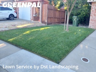 Work completed by local-lawn-care-services-in-Elk Grove-CA