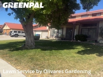 Lawn mowing work completed in Palmdale, CA
