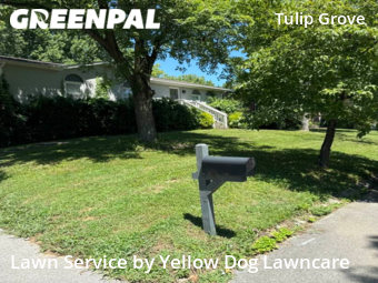 Lawn Mowing Service nearby Nashville, TN, 