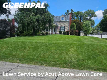 Lawn Cut nearby Pittsburgh, PA, 