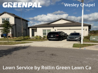 Lawn Mowing Service nearby Wesley Chapel, FL, 