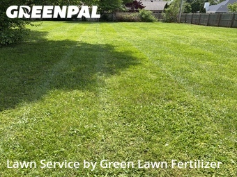 Lawn Cut nearby Springfield, MO, 