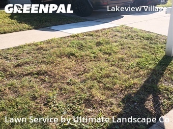 Grass Cut nearby Riverview, FL, 