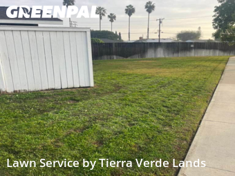 Commercial Landscaping In Garden Grove,92841,Landscaping by Tierra Verde Lands, work completed in Dec , 2025