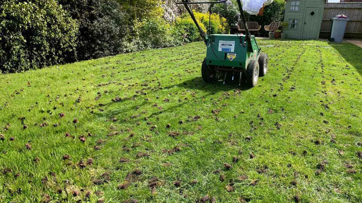 What platforms help me find lawn care for specific seasonal tasks like aeration? By Greenpal