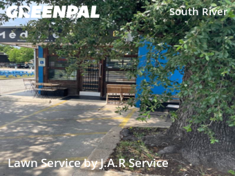 Grass Cutting nearby Austin, TX, 