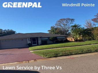 Lawn Mowing Servicein Palm Harbor,34685,Lawn Mowing Service by Three Vs , work completed in Dec , 2025