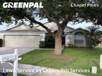 Grass Cutting nearby Wesley Chapel, FL, 
