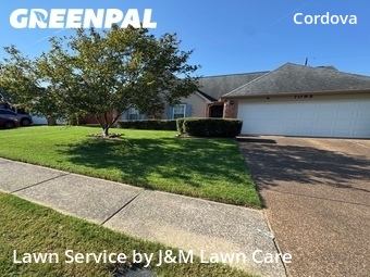 Grass Cut nearby Shelby County, TN, 