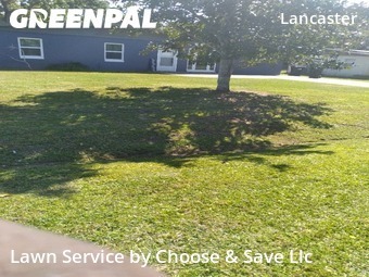 Yard Cutting nearby Orlando, FL, 