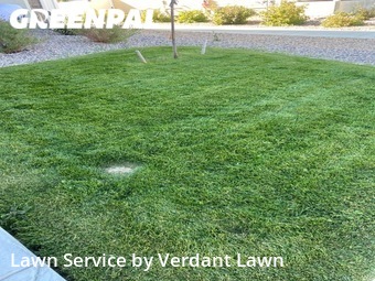 Lawn Maintenance nearby Loveland, CO, 