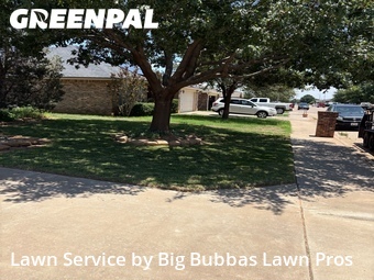Yard Cutting nearby Lubbock, TX, 