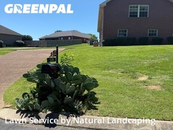 Grass Cutting nearby Goodlettsville, TN, 