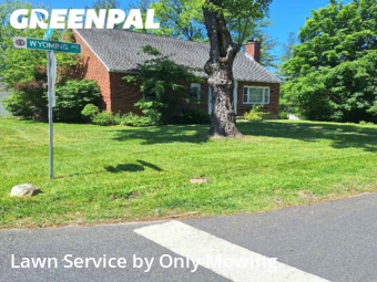 Grass Cut nearby Schenectady, NY, 