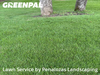 Lawn Cut nearby Cumming, GA, 