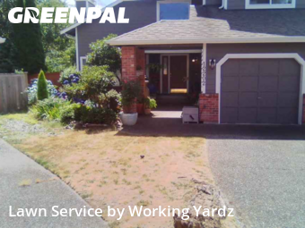Weed Trimming in Renton, 98058, Yard Work by Working Yardz, work completed in Dec , 2025
