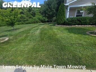 Lawn mowed in Columbia, 38401