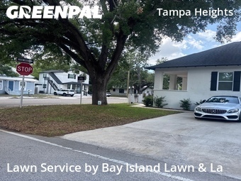 Lawn Care nearby Tampa, FL, 
