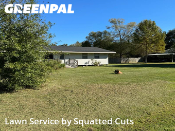 Yard Mowing nearby Maurice, LA, 
