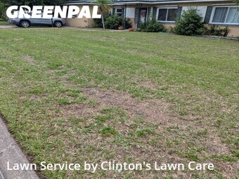 Lawn Cutting nearby Clearwater, FL, 